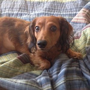 Meet your Posher, Judith